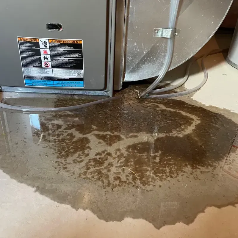 Appliance Leak Cleanup in Glenville, OH